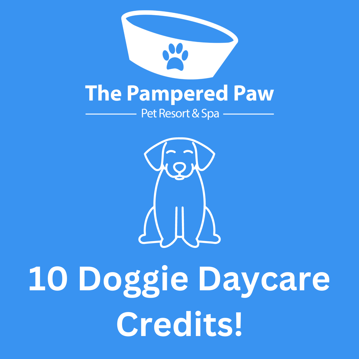 Pampered Paws Perfect Paws Pet Spa Top Perfect Paws Pet Spa Outlet - Main Image