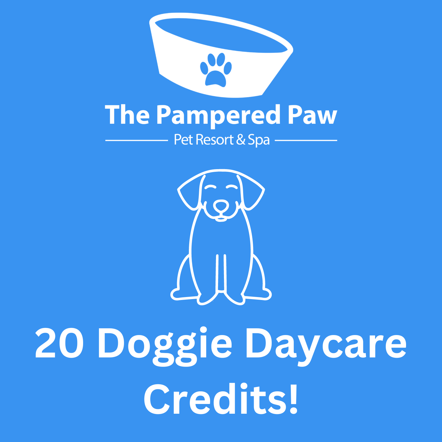 Pampered Dog Pampered Pets Phone Number Pampered Pets Resort 20
